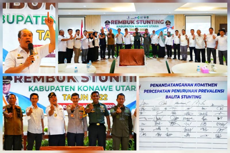 Pemkab Konut Gelar Rembuk Stunting yang diadakan di Aula Wakatobi Room, Hotel Plaza Qubra Kendari pada hari Rabu (03/08/2022). (*Ist) 