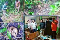 Olah TKP penemuan tengkorak dan kerangka manusia di Perladangan Sunariun Bah Takkolan, Dusun Amborokan, Desa Panei Raya, Kecamatan Raya Kahean, Sabtu (24/9/2022). (*Ist) 