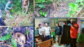 Olah TKP penemuan tengkorak dan kerangka manusia di Perladangan Sunariun Bah Takkolan, Dusun Amborokan, Desa Panei Raya, Kecamatan Raya Kahean, Sabtu (24/9/2022). (*Ist) 