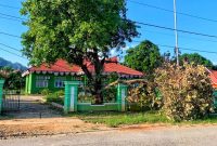 Pohon Tumbang menimpa kabel dan pagar di halaman kantor Dinas Perkebunan dan Holtikultura Konut nampak dibiarkan begitu saja. (*Win/Kr). 