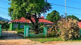 Pohon Tumbang menimpa kabel dan pagar di halaman kantor Dinas Perkebunan dan Holtikultura Konut nampak dibiarkan begitu saja. (*Win/Kr). 
