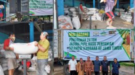 Melalui CV Sengkang Duta Comoditi mengirim 24 ton jagung pipil hasil pertanian ke Jawa Timur (Jatim), Selasa (21/02/2023). (*Ist) 