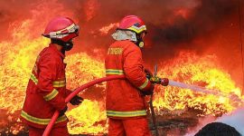 Ilustrasi Pelatihan Personel Damkar Lerai sijago merah. (*Ist) 