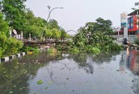 Hujan deras disertai angin kencang melanda Kota Kendari menyebabkan pohon tumbang dan merusak rumah warga. (*Ist) 