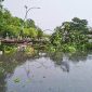 Hujan deras disertai angin kencang melanda Kota Kendari menyebabkan pohon tumbang dan merusak rumah warga. (*Ist) 