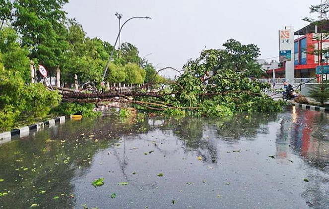 Hujan deras disertai angin kencang melanda Kota Kendari menyebabkan pohon tumbang dan merusak rumah warga. (*Ist) 