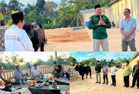 H. Ruksamin menyalurkan satu ekor sapi kurban di Pondok Pesantren (Ponpes) Hafidz Baitul Qur’an Al Askar Andunohu, Kendari, Rabu (28/6/2023). (*Ist)