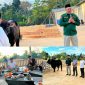 H. Ruksamin menyalurkan satu ekor sapi kurban di Pondok Pesantren (Ponpes) Hafidz Baitul Qur’an Al Askar Andunohu, Kendari, Rabu (28/6/2023). (*Ist)