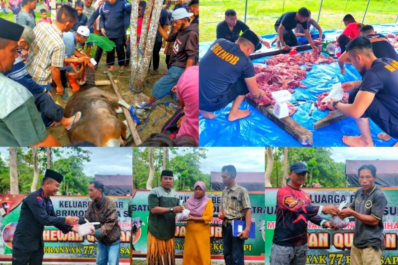 Jajaran Satbrimob Polda Sultra menyerahkan daging qurban Hari Raya Idul Adha 1444 H/2023 M, di areal Markas Komando (Mako) Brimob Polda Sultra, Kamis (29/6). (*Ist)