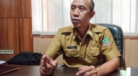 Plt Kepala BKAD Konut, Adonan.