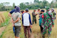 Ketua Satgasus, Sekda Koltim meninjau lokasi sengketa tanah bekas HGU PT SIL. Rabu (11/10/2023).