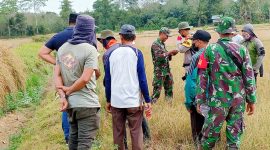 Ketua Satgasus, Sekda Koltim meninjau lokasi sengketa tanah bekas HGU PT SIL. Rabu (11/10/2023).