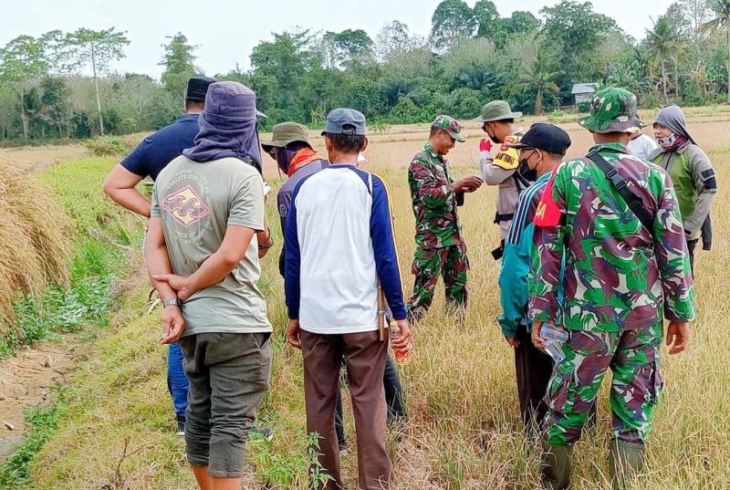 Ketua Satgasus, Sekda Koltim meninjau lokasi sengketa tanah bekas HGU PT SIL. Rabu (11/10/2023).