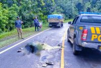 Pengendara motor pasangan suami istri tewas di TKP usai mengalami lakalantas dengan mobil truk di Jalan Trans Sulawesi Desa Tongalino, Kecamatan Lembo, Kabupaten Konawe Utara. Rabu, (24/4/2024).