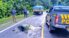 Pengendara motor pasangan suami istri tewas di TKP usai mengalami lakalantas dengan mobil truk di Jalan Trans Sulawesi Desa Tongalino, Kecamatan Lembo, Kabupaten Konawe Utara. Rabu, (24/4/2024).
