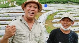 Meski berprofesi sebagai Bupati Konawe Utara, identitas KTP Ruksamin masih berstatus seorang petani. (Foto. Ist)