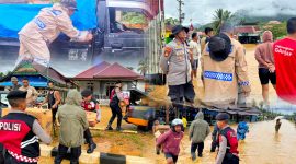Jajaran personel polres konawe utara bantu evakuasi warga terdampak banjir meluapnya kali anggomate di andowia. Selasa (30/07/2024).
