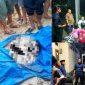 Polsek Lasolo dipimpin Kapolsek Iptu Andi Muhammad Taufan, S.H bersama anggotanya tinjau TKP dan Keluarga korban. Selasa, (30/07/2024).