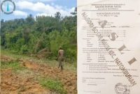 Alih fungsi kehutanan menjadi lahan perkebunan sawit.