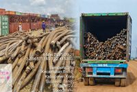 Limbah Kabel PT Virtue Dragon Nickel Industry (VDNI) diduga tidak memiliki dokumen resmi yang berlokasi di Kecamatan Morosi, Kabupaten Konawe. 
