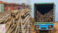 Limbah Kabel PT Virtue Dragon Nickel Industry (VDNI) diduga tidak memiliki dokumen resmi yang berlokasi di Kecamatan Morosi, Kabupaten Konawe. 