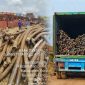 Limbah Kabel PT Virtue Dragon Nickel Industry (VDNI) diduga tidak memiliki dokumen resmi yang berlokasi di Kecamatan Morosi, Kabupaten Konawe. 