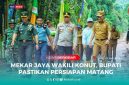 Ikbar-Abuhaera bersama Forkopimda Konut terjun langsung ke Desa Mekar Jaya memastikan kesiapan dalam mengikuti Lomba Desa Tingkat Provinsi Sulawesi Tenggara Tahun 2025, Senin (23/06/2025).