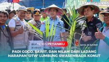 Dipimpin langsung oleh Bupati H. Ikbar dan Wakil Bupati H. Abuhaera, ratusan masyarakat dan unsur Forkopimda bergotong royong membuka ladang di Desa Sambasule, Kecamatan Motui, Kamis (17/7/2025).
