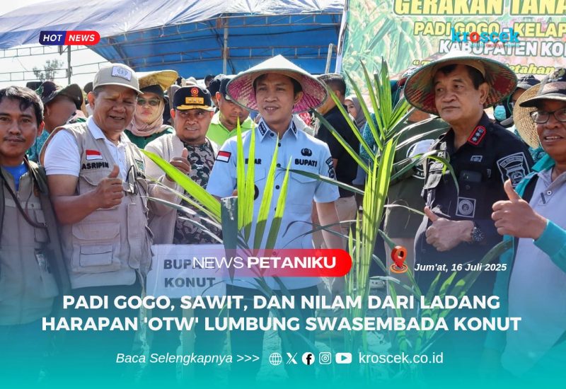 Dipimpin langsung oleh Bupati H. Ikbar dan Wakil Bupati H. Abuhaera, ratusan masyarakat dan unsur Forkopimda bergotong royong membuka ladang di Desa Sambasule, Kecamatan Motui, Kamis (17/7/2025).