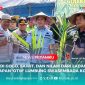 Dipimpin langsung oleh Bupati H. Ikbar dan Wakil Bupati H. Abuhaera, ratusan masyarakat dan unsur Forkopimda bergotong royong membuka ladang di Desa Sambasule, Kecamatan Motui, Kamis (17/7/2025).
