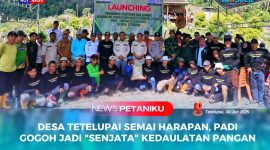 Launching penanaman padi gogoh dan jagung di kecamatan Lasolo, tepatnya di desa tetelupai bersama unsur pemerintah dan petani lokal handal yang tak mudah ngeluh, Rabu (30/07/2025).