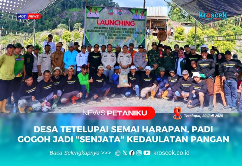Launching penanaman padi gogoh dan jagung di kecamatan Lasolo, tepatnya di desa tetelupai bersama unsur pemerintah dan petani lokal handal yang tak mudah ngeluh, Rabu (30/07/2025).