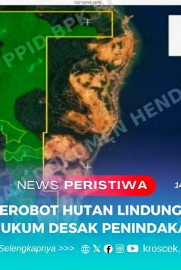 berita-rekomendasi-foto