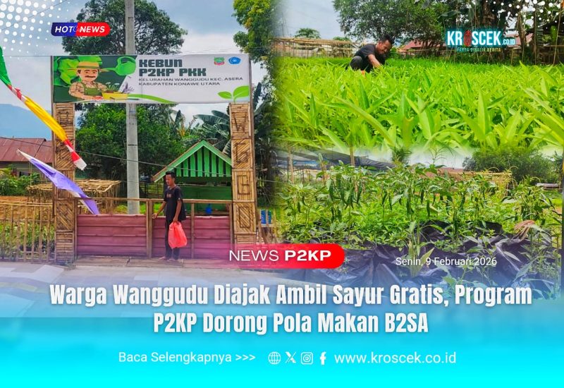KEBUN P2KP - Gerbang Kebun P2KP PKK Kelurahan Wanggudu, Kecamatan Asera, Kabupaten Konawe Utara (Konut) sebagai pusat pengembangan pangan keluarga.