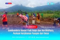 Kaum ibu-ibu nampak melakukan penanaman komoditas hortikultura unggulan seperti kacang panjang, timun, dan terong. Komoditas sayuran ini merupakan mata pencaharian utama masyarakat Desa Sambandete, Rabu (11/02/2026).