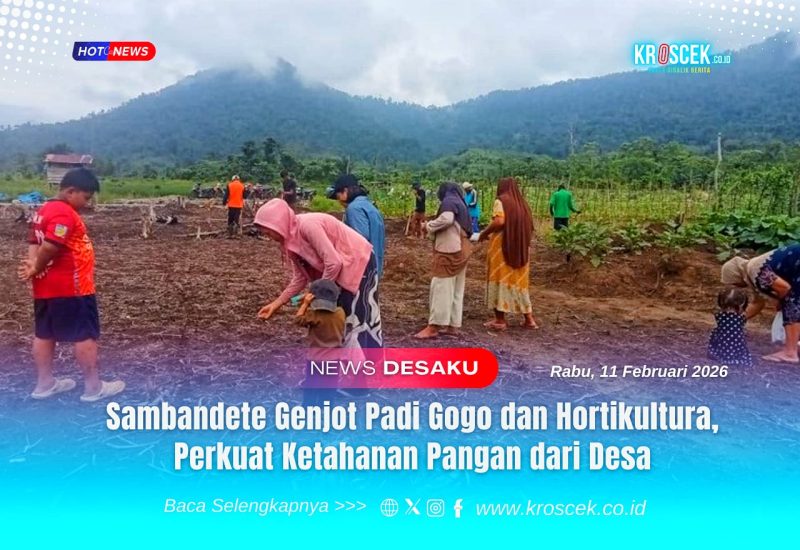 Kaum ibu-ibu nampak melakukan penanaman komoditas hortikultura unggulan seperti kacang panjang, timun, dan terong. Komoditas sayuran ini merupakan mata pencaharian utama masyarakat Desa Sambandete, Rabu (11/02/2026).